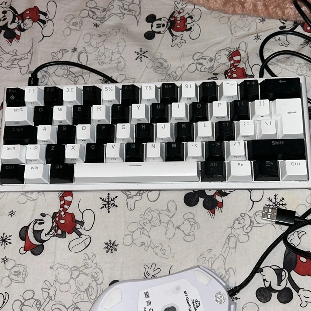 Computer Keyboard and mouse - Picture 4 of 9